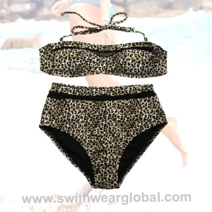 Leopard Print High-Waisted Two-Piece Swimwear - Mesh Detailing & Tummy-Control